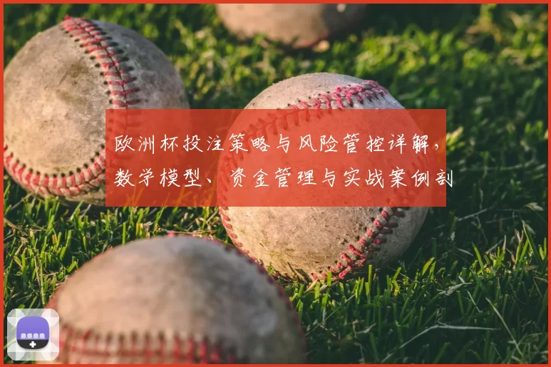 欧洲杯投注策略与风险管控详解,数学模型、资金管理与实战案例剖析