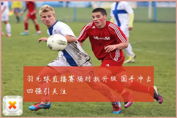 羽毛球直播赛场对抗升级 国手冲击四强引关注