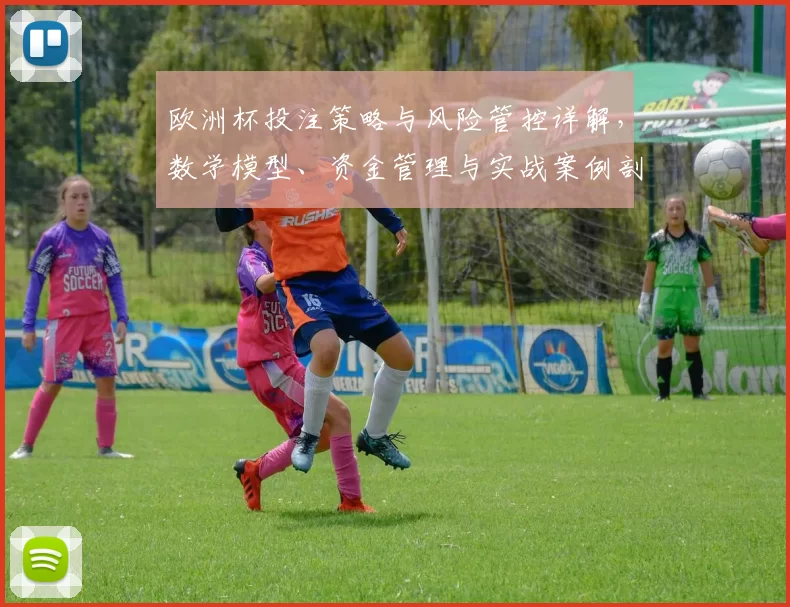 欧洲杯投注策略与风险管控详解,数学模型、资金管理与实战案例剖析