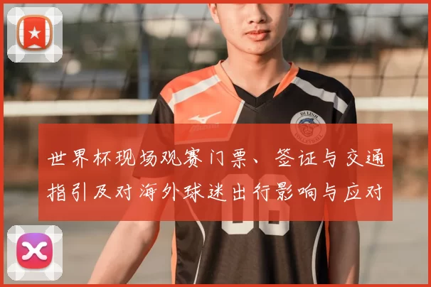 世界杯现场观赛门票、签证与交通指引及对海外球迷出行影响与应对