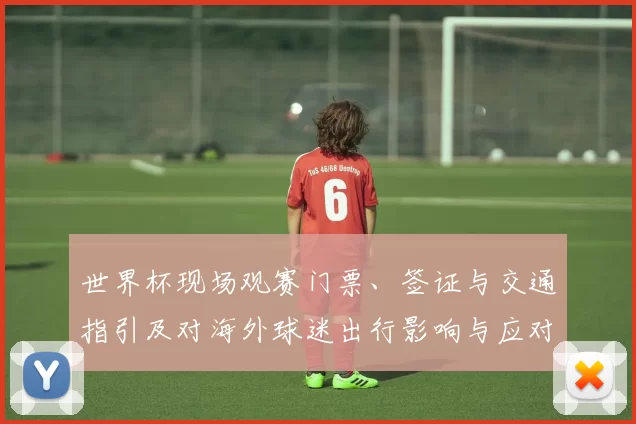 世界杯现场观赛门票、签证与交通指引及对海外球迷出行影响与应对