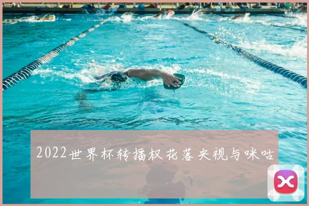 2022世界杯转播权花落央视与咪咕