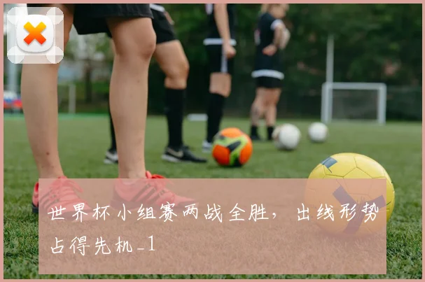 世界杯小组赛两战全胜，出线形势占得先机_1
