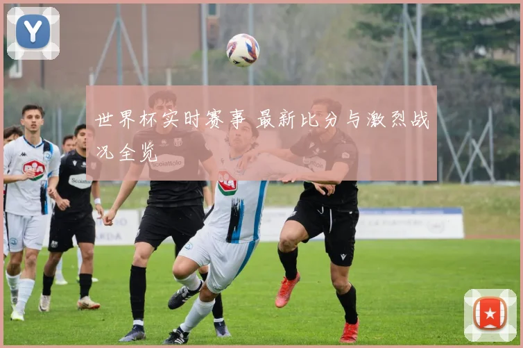 世界杯实时赛事 最新比分与激烈战况全览